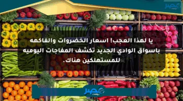 يا لهذا العجب! أسعار الخضروات والفاكهة بأسواق الوادي الجديد تكشف المفاجآت اليومية للمستهلكين هناك.